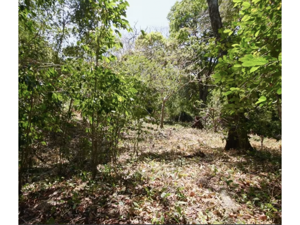 TERRENO / ALTOS DEL MARIA / 2455M / MAYORMENTE PLANO / CLIMA FRESCO — foto 5