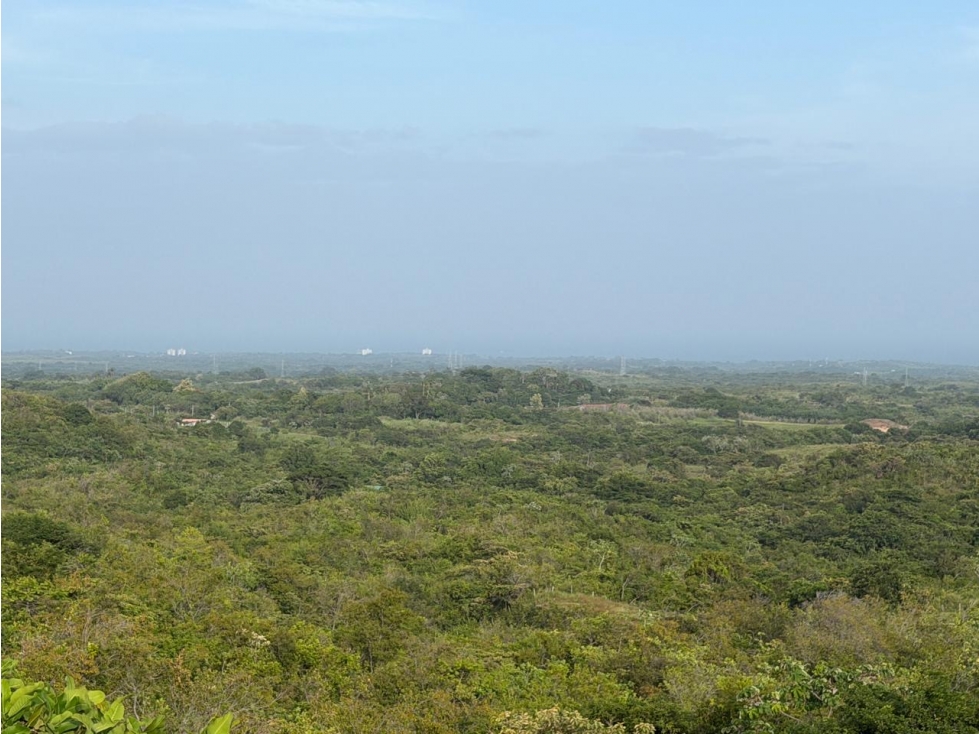 TERRENO / SAN CARLOS / 5,000M / ECOLÓGICO / VISTA AL MAR — foto 4