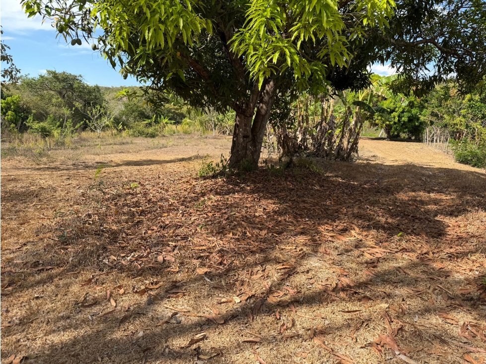 SAN CARLOS / LA ERMITA / 5339M / TERRENO PLANO / CERCA DE RIO / AG — foto 5