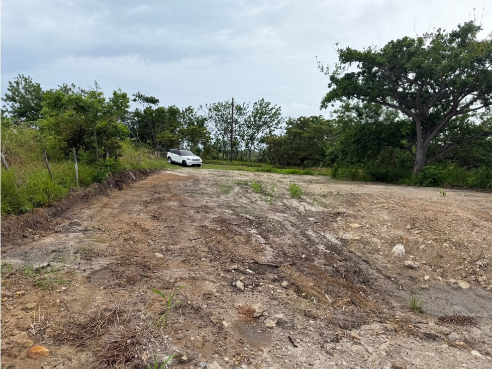 COSTA ESMERALDA / SAN CARLOS / 1000M2 / PLANO / FRENTE A VIA