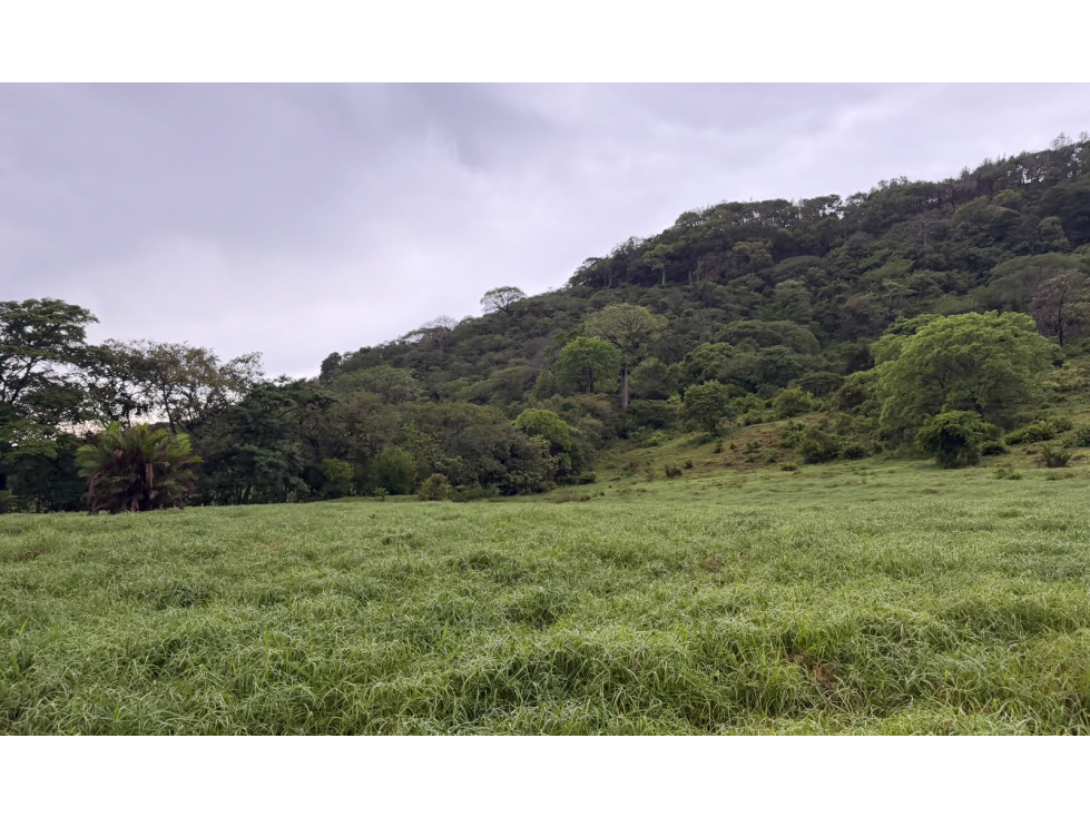 TERRENO / CHAME / LOS CAJONES / 70K M / VIA ASFALTADA/ AGUA VIVA