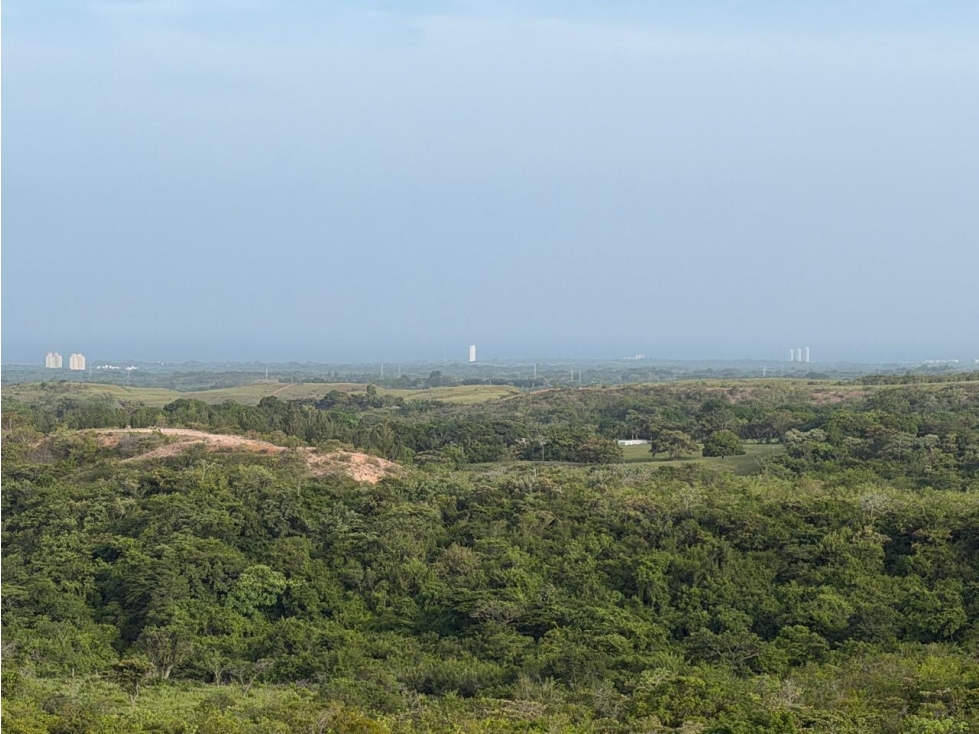 TERRENO / SAN CARLOS / 5,000M / ECOLÓGICO / VISTA AL MAR — foto 5