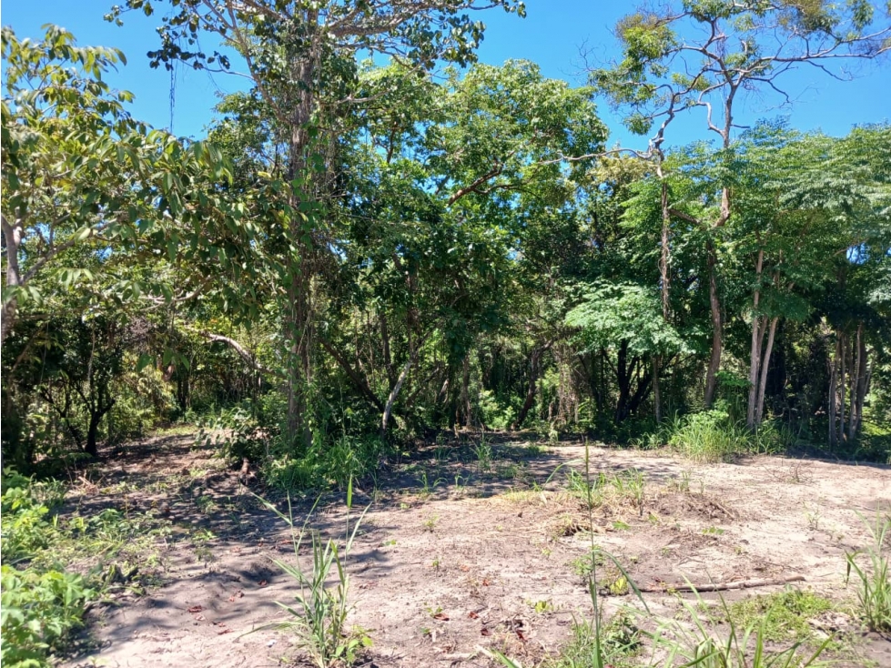 SAN CARLOS / COSTA ESMERALDA / TERRENO / 1000 m2 / COMUNIDAD DE PLAYA — foto 5