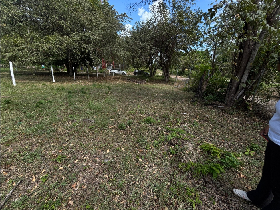 VENTA DE TERRENO EN GORGONA CHAME PLANO DE 337M CERCA DE PLAYA — foto 5