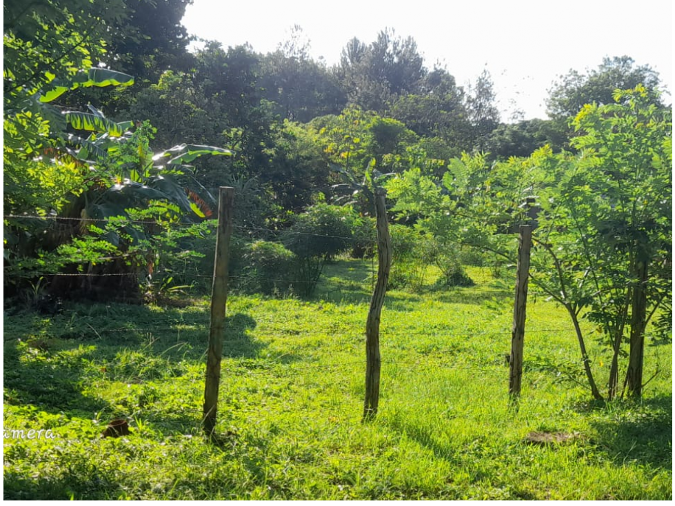 CHAME / SORÁ / 786M / TERRENO / SOBRE CALLE / IDEAL PARA DESARROLLO
