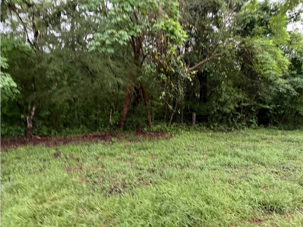 FINCA / CHAME / LOS CAJONES / 7 HECTÁREAS / VIA ASFALTADA/ AGUA VIVA — foto 4