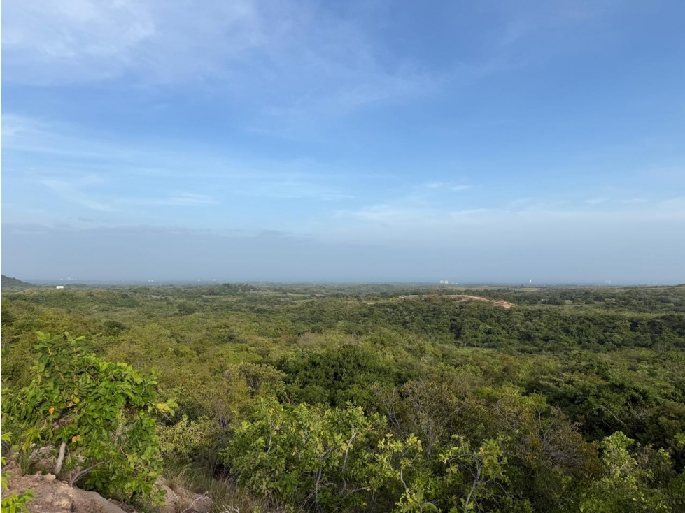TERRENO / SAN CARLOS / 5,000M / ECOLÓGICO / VISTA AL MAR — foto 6