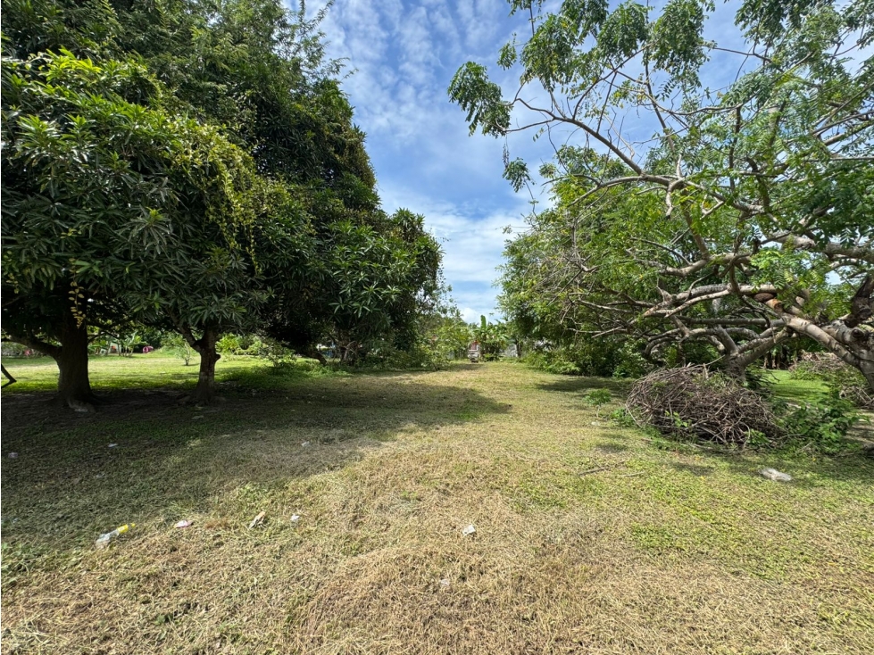 SE VENDE TERRENO PLANO EN GORGONA DE 600M CERCA DE PLAYA — foto 4