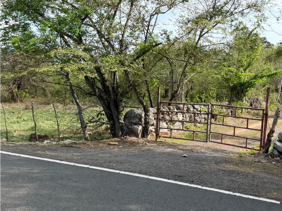 SE VENDE FINCA VIA ALTOS DEL MARIA DE 30 HECTAREAS FRENTE A CALLE