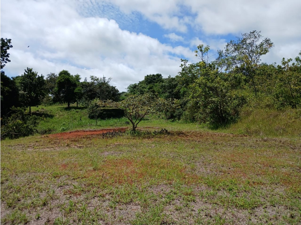 SE VENDE TERRENO 4300 M2 EN SAN CARLOS EL COPECITO CON ZONAS VERDES — foto 6