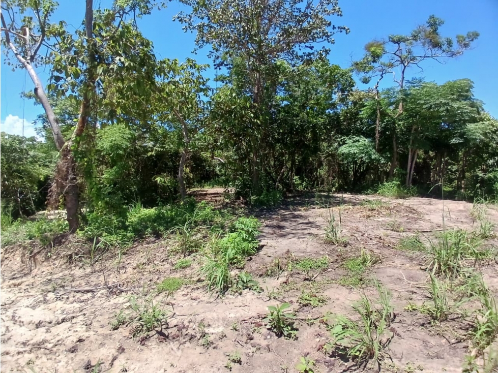 SAN CARLOS / COSTA ESMERALDA / TERRENO / 1000 m2 / COMUNIDAD DE PLAYA — foto 4
