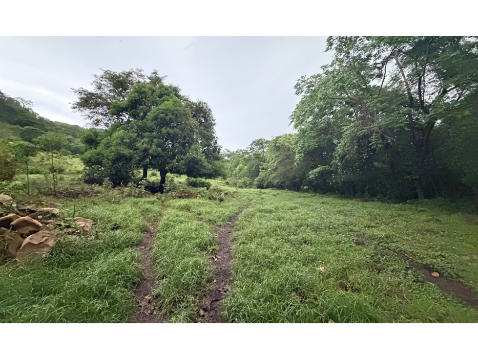 SE VENDE FINCA EN LOS CAJONES DE CHAME 7 HECTÁREAS VIA ASFALTADA