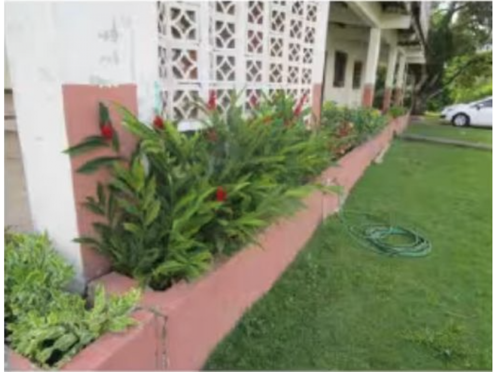LA CHORRERA / BARRIO COLON / 280 M2 / 4 HABITACION / VIA PRINCIPAL — foto 5