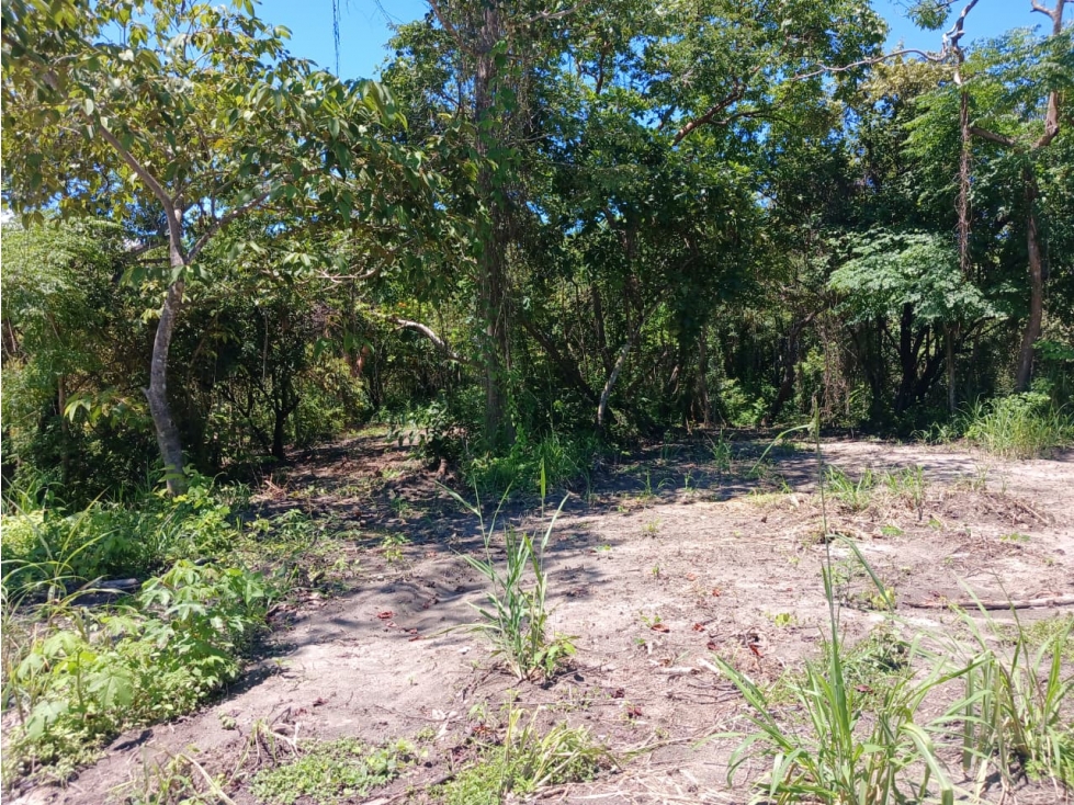 SAN CARLOS / COSTA ESMERALDA / TERRENO / 1000 m2 / COMUNIDAD DE PLAYA — foto 6