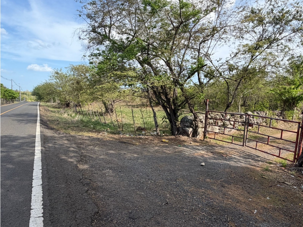 CHAME / VIA ALTOS DEL MARIA / 7 HECTAREAS / FRENTE A CALLE