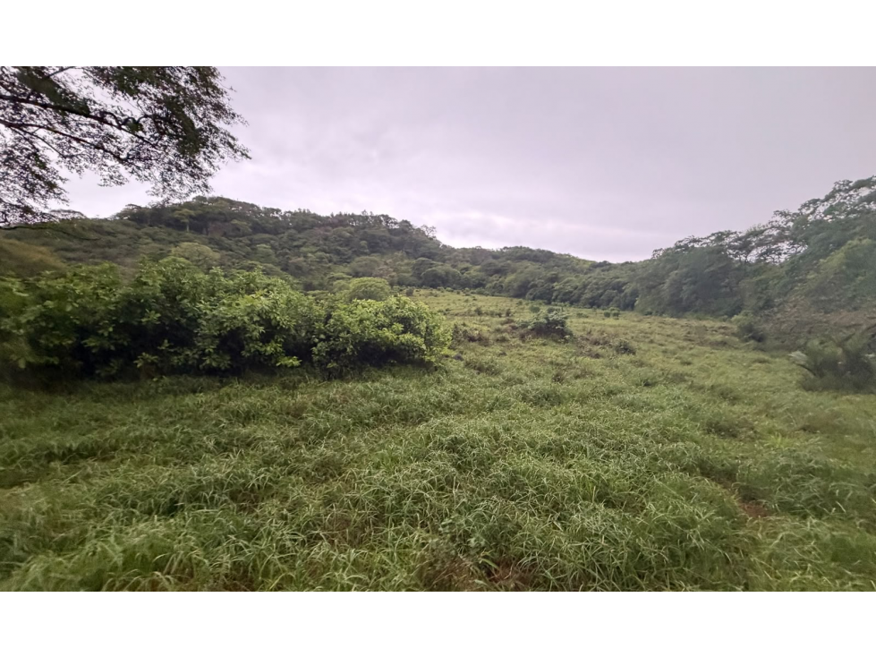 SE VENDE TERRENO EN LOS CAJONES DE CHAME 70K M ACCESO A AGUA VIVA