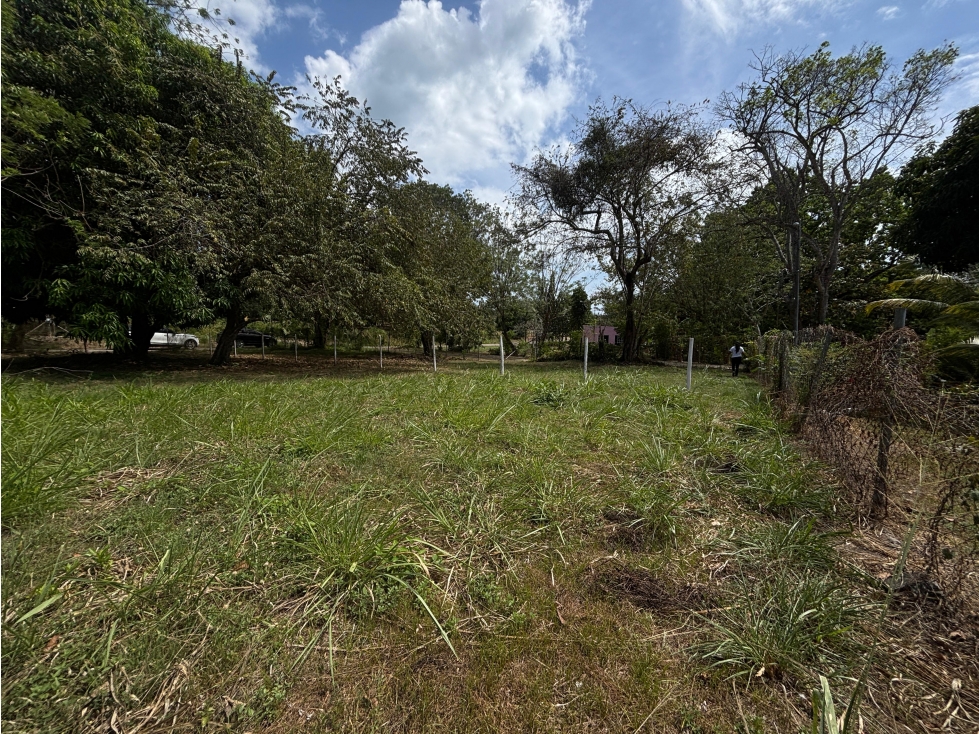 SE VENDE TERRENO PLANO EN GORGONA CHAME CERCA DE PLAYA DE 360M