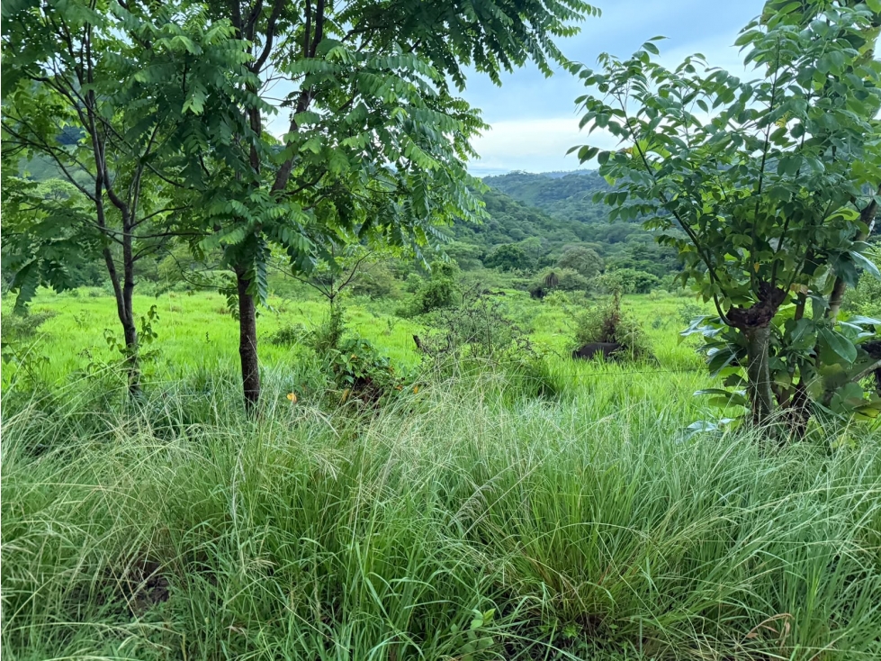 SE VENDE TERRENO LOS CAJONES DE CHAME 20k M SOBRE VIA ASFALTADA — foto 4