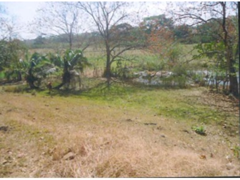 CHEPO / LOMA DEL RIO / 1.6 HECTAREA / CASA / ESTABLO / PISCINA - 4