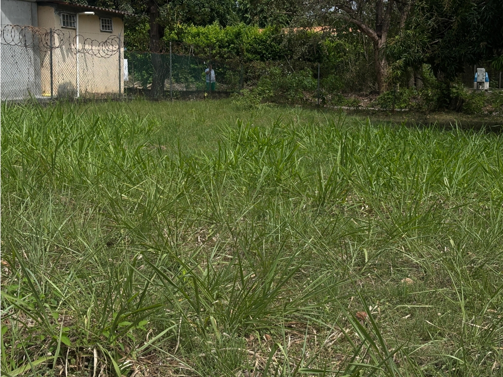 VENTA DE TERRENO EN GORGONA CHAME PLANO DE 337M CERCA DE PLAYA — foto 3