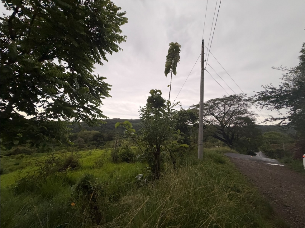 SE VENDE TERRENO LOS CAJONES DE CHAME 20k M SOBRE VIA ASFALTADA — foto 5