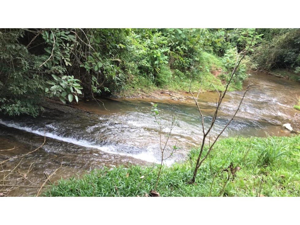 GANGA / COLON / FINCA / BUENA VISTA / 43.5 HECTAREAS / PARA DESARROLLO - 3