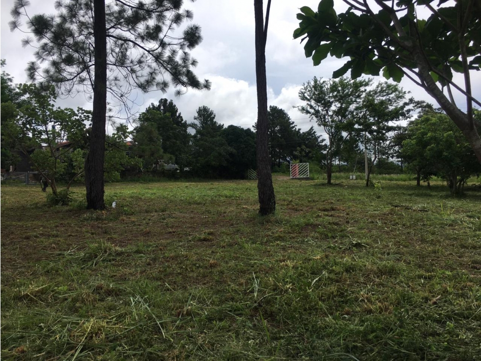 TERRENO COMERCIAL / FRENTE A CARRETERA PRINCIPAL VIA BOQUETE / 1430M - 3