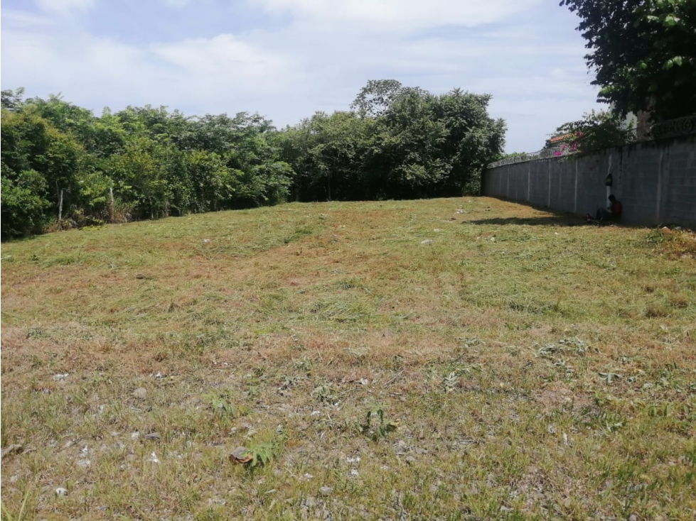 CORONADO / TERRENO PLANO / 1140M2 / CALLE BOULEVARD — foto 4