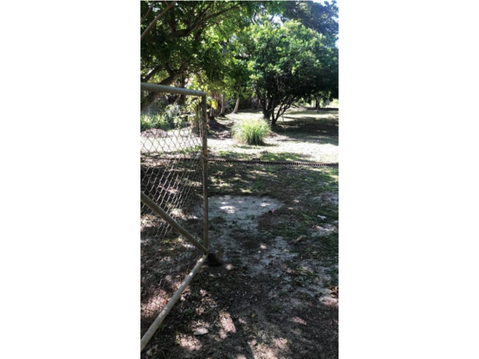 CORONADO / TERRENO A POCOS MINUTOS DE LA PLAYA / 1158M2 / AMPLIO — foto 5
