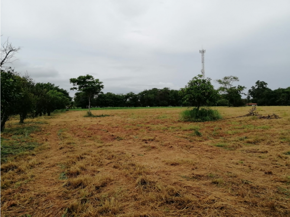 TERRENO / CORONADO BOULEVARD / 3 FINCAS / CERCA DEL MAR