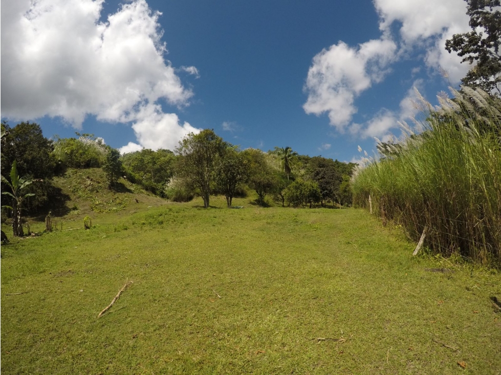 CERRO AZUL / FINCA CON CABAÑA / 52 HECTAREAS / RIO Y CASCADAS - 4