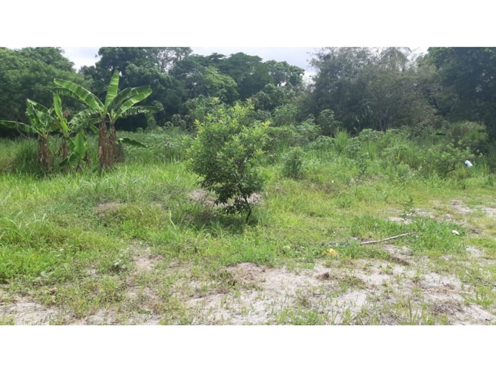 PLAYA CORONA / TERRENO / 5914M2 / CERCA DE LA PLAYA / ZONAS VERDES — foto 4