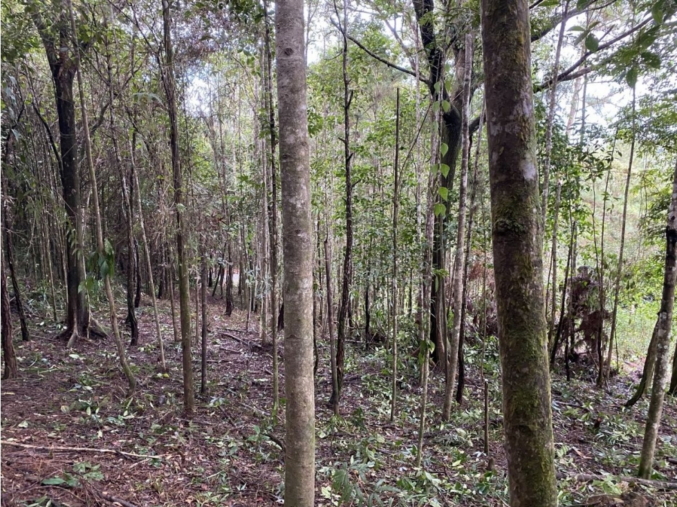 CERRO AZUL / FINCA ALTOS DEL GUARDIAN / 1844 M2 - 4