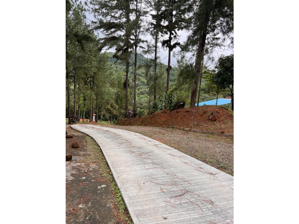 TERRENO / CERRO AZUL / 2679 M2 / CLIMA FRIO / ZONAS VERDES - 4