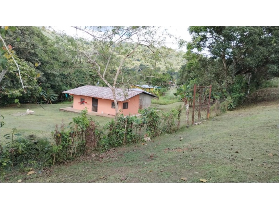 TERRENO / COLON / BUENA VISTA / 16570M / CON 2 CASAS / SOBRE VIA - 4
