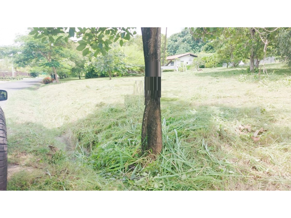 TERRENO / CORONADO / 1,198 M2 / LOTE PLANO / DENTRO DEL CLUB — foto 4