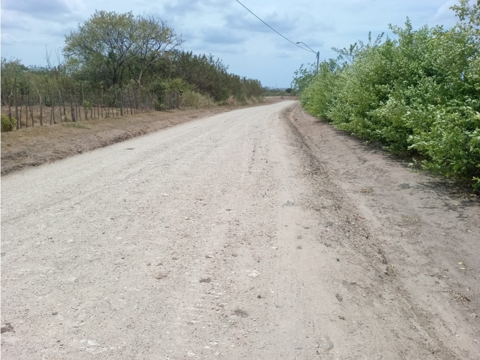 PENONOME / TERRENO / 3.538.81M2 - 4
