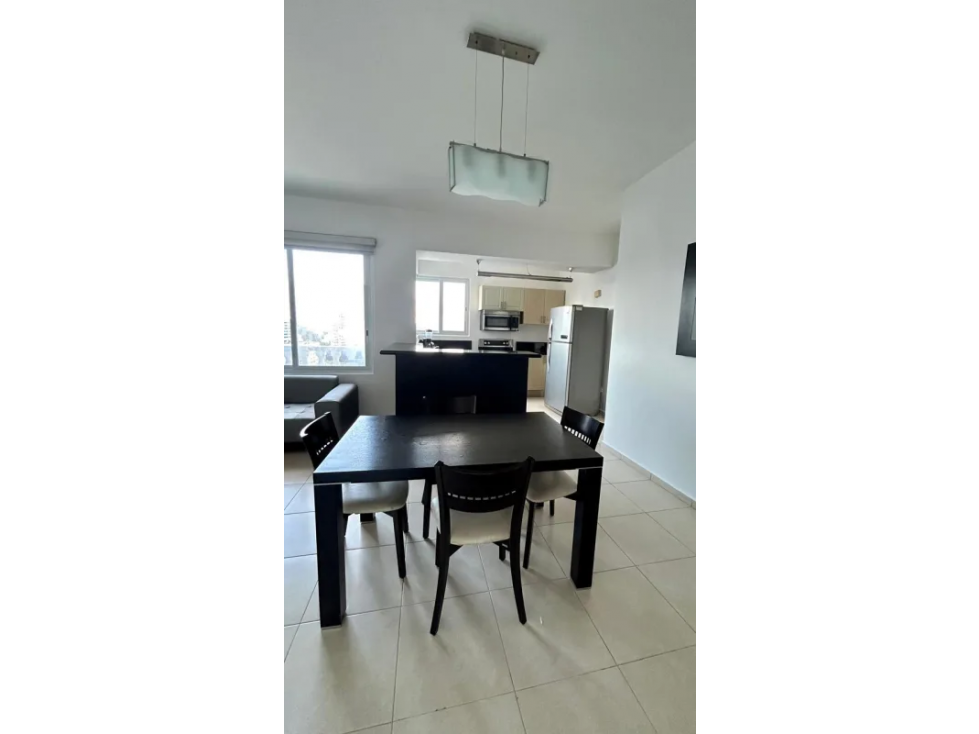 AVENIDA BALBOA / PH VISTA DEL MAR / 2 HABITACIONES / 113M / 2 PARKING — foto 3