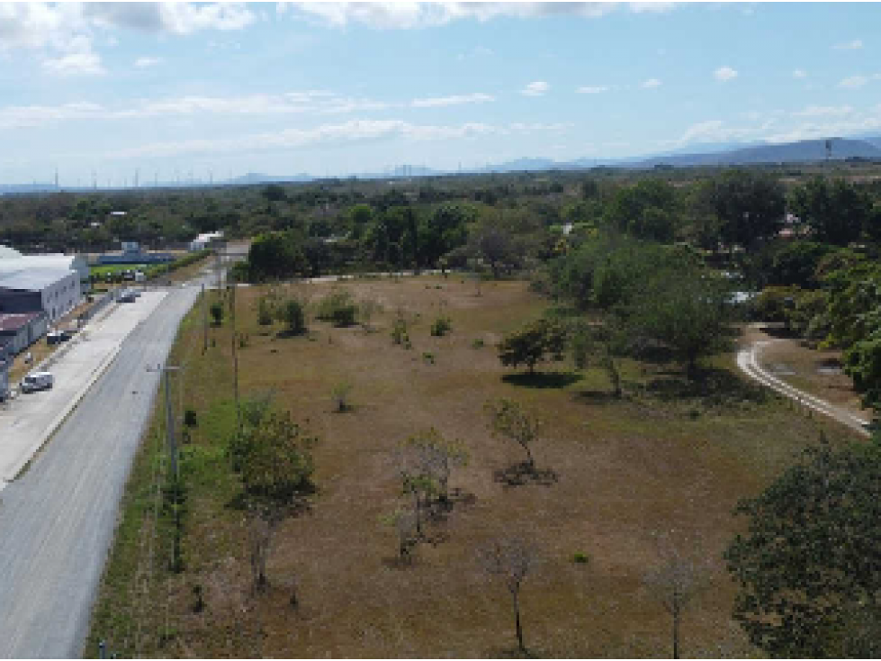 PENONOME / TERRENO COMERCIAL / 13473M2 / SOBRE VIA INTERAMERICANA - 1