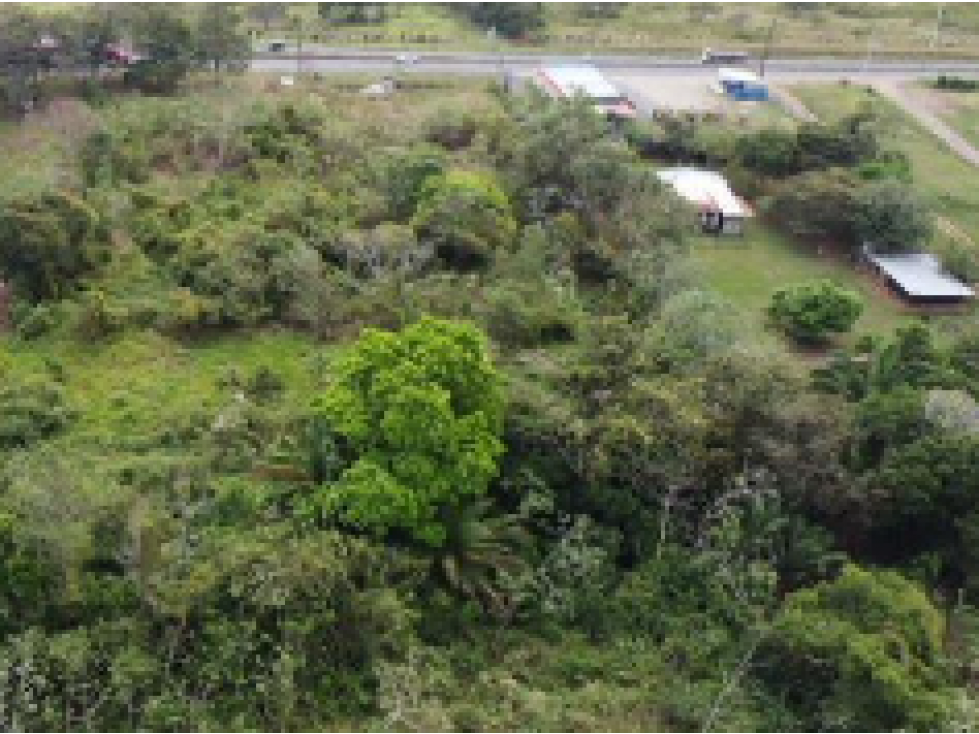 CAPIRA / 6 HECTAREAS / VIA INTERAMERICANA / CON PROYECTO APROBADO - 6
