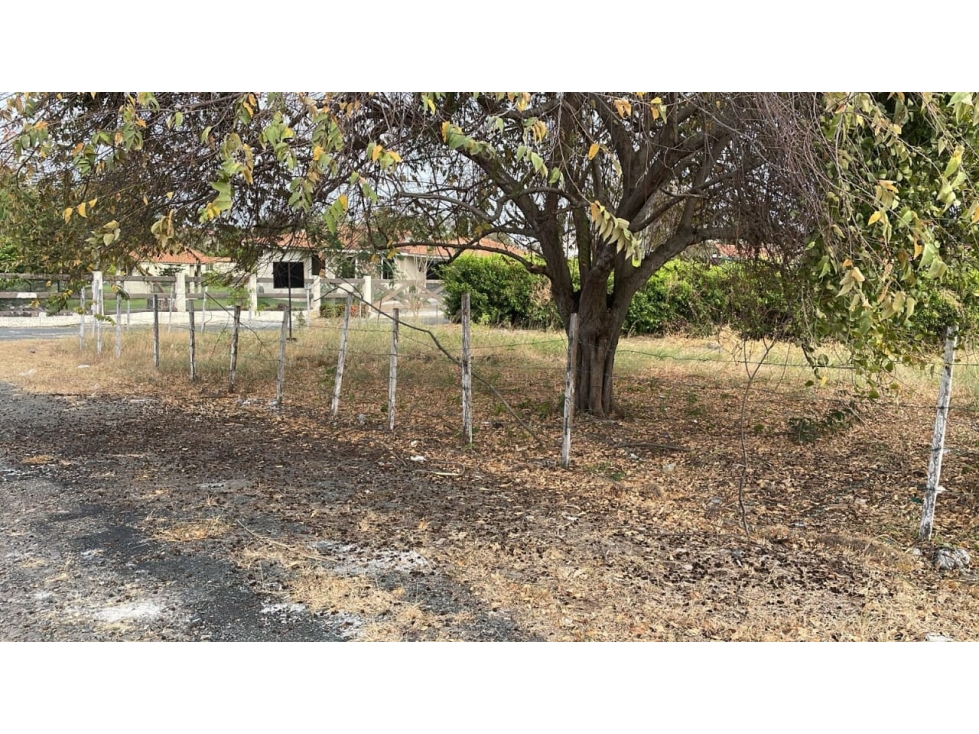 CORONADO / TERRENO / 1412 M2 / PLANO / ESQUINA / POSO DE AGUA — foto 4