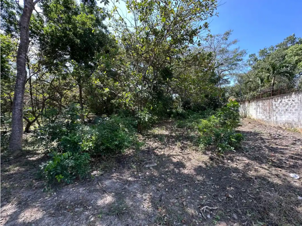 CORONADO / TERRENO / 994 M2 / PLANO / PLAYA / ZONAS VERDES - 4