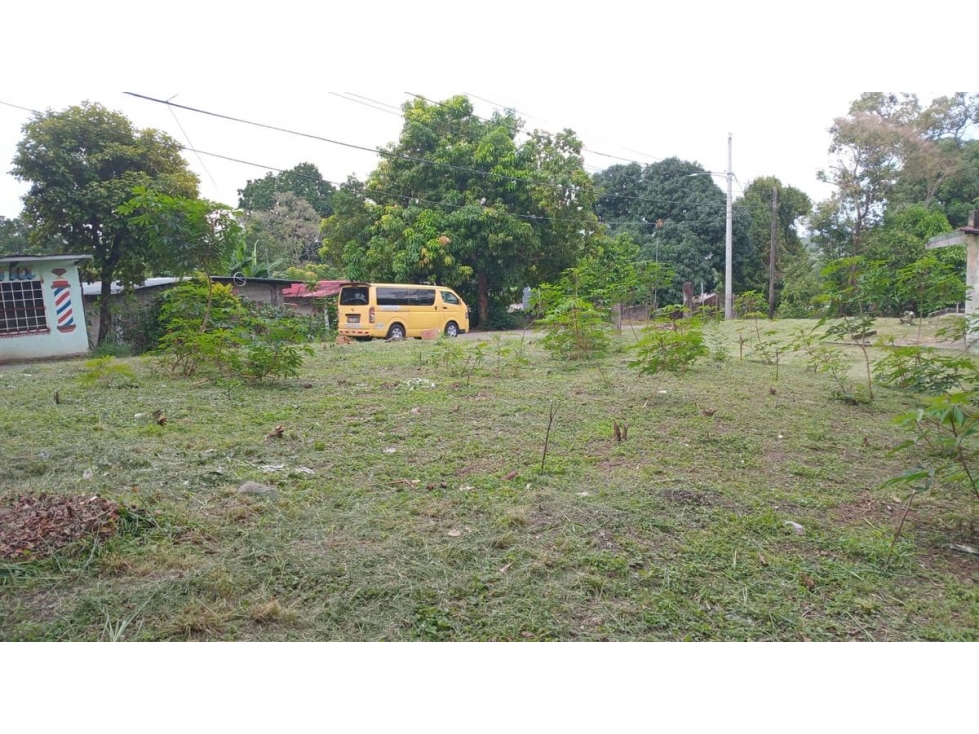 TERRENO / 24 DE DICIEMBRE / CABUYITA / 1800 M2 / ORILLA DE CALLE - 5