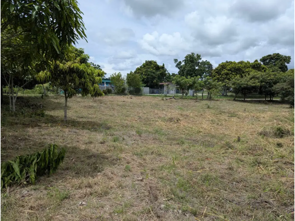 GANGA / RIO HATO / TERRENO / 3400 M2 / PUNTO ALTO / PLAYA - 4