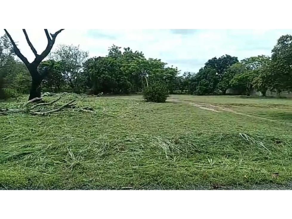 TERRENO / CHAME / GORGONA / 2000M / PLANO /JC — foto 4