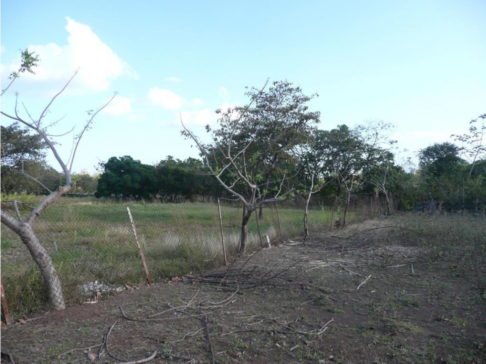 SAN JOSE / SAN CARLOS / TERRENO 2.3 HECTAREAS / POZO DE AGUA JC — foto 4