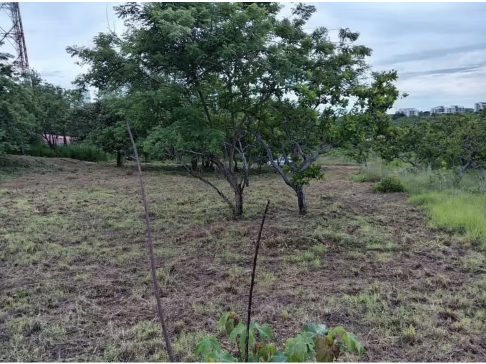 TERRENO / SAN CARLOS / RIO MAR / 1400M / CERCA PLAYA / PLANO JC — foto 2