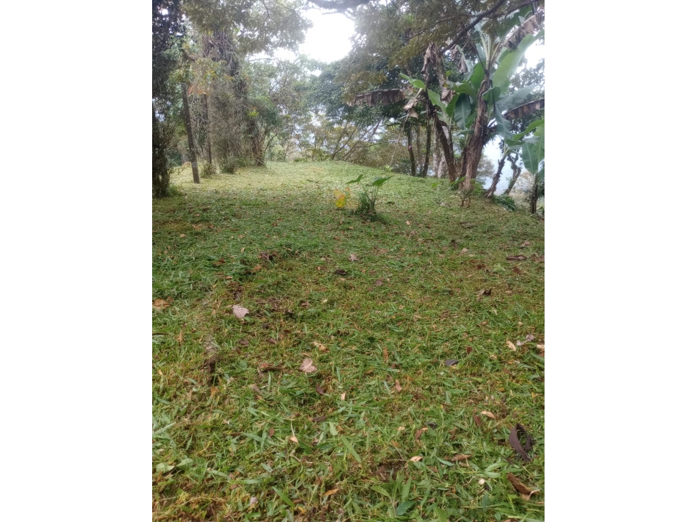 VERAGUAS / SANTA FE / 4300M / TERRENO / VISTA A LA MONTAÑA AG - 5