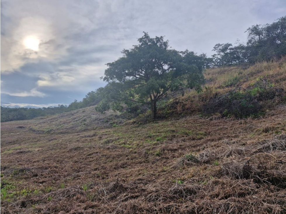 CHAME / LAS LAJAS / 25000M / TERRENO / COLINDA CON RIO / AG — foto 4