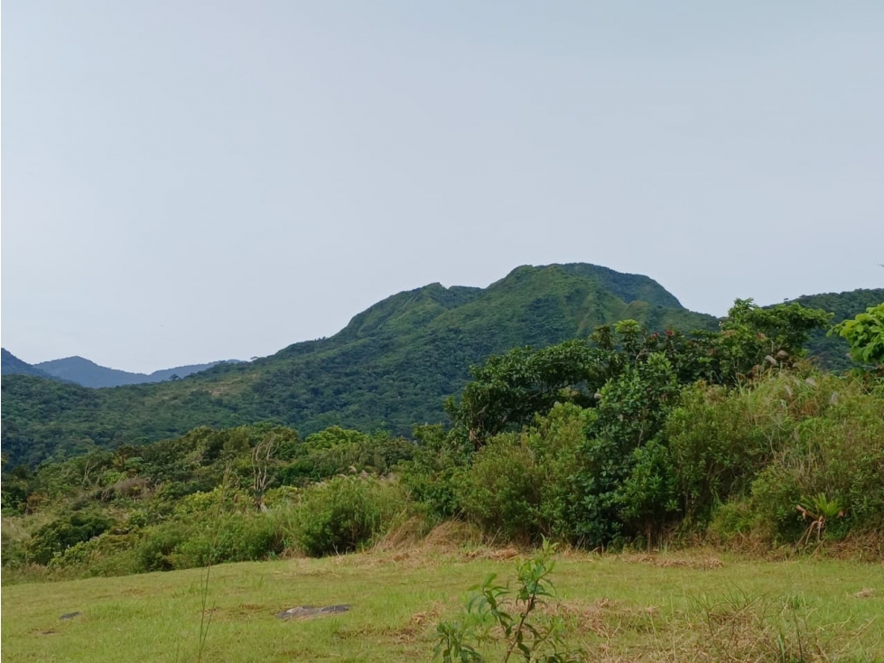 COCLE / EL VALLE DE ANTON / LAS NUBES / 3888M / TERRENO / AG - 4